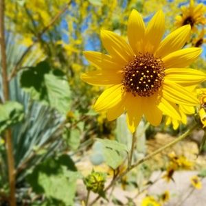 Clothes bundle COMING SOON